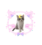 stellaちゃん（個別スタンプ：6）