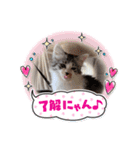 stellaちゃん（個別スタンプ：10）