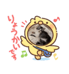 stellaちゃん（個別スタンプ：15）