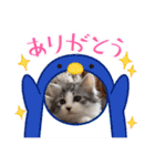 stellaちゃん（個別スタンプ：16）