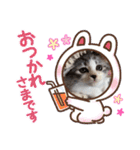 stellaちゃん（個別スタンプ：23）