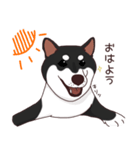 柴犬(黒)1（個別スタンプ：1）