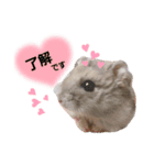 ハムちゃんの日常①（個別スタンプ：4）