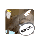 ハムちゃんの日常①（個別スタンプ：8）
