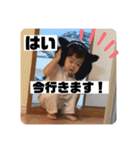 ひまなの秋バージョン2（個別スタンプ：21）