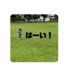 ひまなの秋バージョン2（個別スタンプ：22）