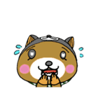 くまシバの日常（個別スタンプ：1）