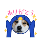 L2o8v2e8（個別スタンプ：8）
