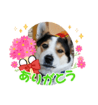 L2o8v2e8（個別スタンプ：15）