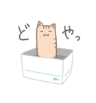 宇宙にいきたい猫（個別スタンプ：13）