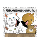 奥さんの猫ちゃん（個別スタンプ：16）