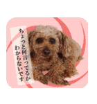 みんなの☆からあげスタンプ（個別スタンプ：18）