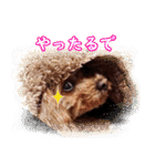 みんなの☆からあげスタンプ（個別スタンプ：22）
