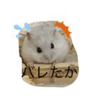 ふくみスタンプ☆でち（個別スタンプ：1）