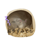 ふくみスタンプ☆でち（個別スタンプ：3）