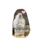 ふくみスタンプ☆でち（個別スタンプ：7）