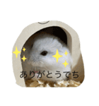 ふくみスタンプ☆でち（個別スタンプ：8）