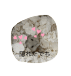 ふくみスタンプ☆でち（個別スタンプ：11）