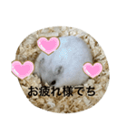 ふくみスタンプ☆でち（個別スタンプ：16）
