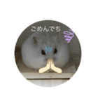 ふくみスタンプ☆でち（個別スタンプ：17）