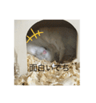ふくみスタンプ☆でち（個別スタンプ：20）