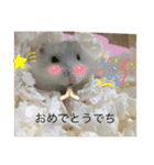 ふくみスタンプ☆でち（個別スタンプ：21）