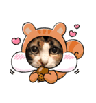 tocco/vol.36/愛猫らぶしゃん/レオ/カイ（個別スタンプ：2）