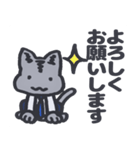 若手のねこくん（個別スタンプ：12）