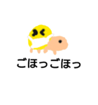かめさん☀️（個別スタンプ：8）