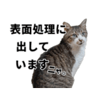 オフィスで使おう！キジ白ばぁば vol.2（個別スタンプ：10）
