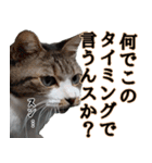 オフィスで使おう！キジ白ばぁば vol.2（個別スタンプ：39）