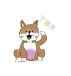 柴犬 むーちゃんスタンプ（個別スタンプ：1）
