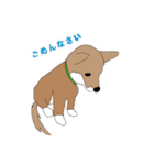 柴犬 むーちゃんスタンプ（個別スタンプ：3）