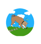 柴犬 むーちゃんスタンプ（個別スタンプ：5）