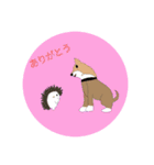 柴犬 むーちゃんスタンプ（個別スタンプ：7）
