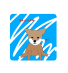 柴犬 むーちゃんスタンプ（個別スタンプ：13）