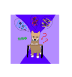 柴犬 むーちゃんスタンプ（個別スタンプ：16）