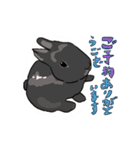 営業部所属、うさぎの「きび」と申します。（個別スタンプ：2）