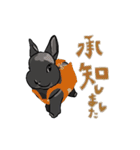 営業部所属、うさぎの「きび」と申します。（個別スタンプ：6）