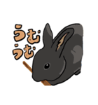 営業部所属、うさぎの「きび」と申します。（個別スタンプ：20）