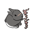 営業部所属、うさぎの「きび」と申します。（個別スタンプ：22）