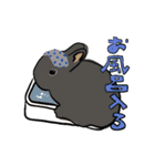 営業部所属、うさぎの「きび」と申します。（個別スタンプ：24）