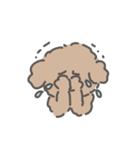 トイプードルのアンディ LINE公認コラボ（個別スタンプ：2）