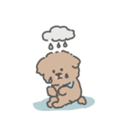 トイプードルのアンディ LINE公認コラボ（個別スタンプ：4）