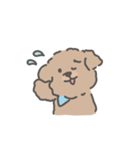 トイプードルのアンディ LINE公認コラボ（個別スタンプ：7）