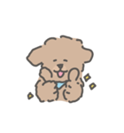 トイプードルのアンディ LINE公認コラボ（個別スタンプ：8）