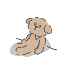 トイプードルのアンディ LINE公認コラボ（個別スタンプ：10）