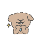 トイプードルのアンディ LINE公認コラボ（個別スタンプ：11）