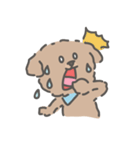 トイプードルのアンディ LINE公認コラボ（個別スタンプ：12）