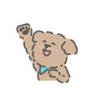 トイプードルのアンディ LINE公認コラボ（個別スタンプ：13）